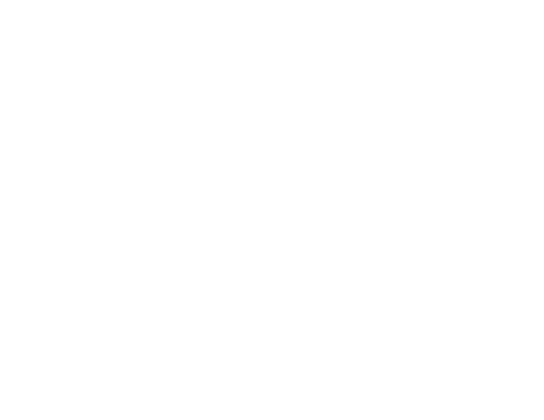 Diary of a CEO